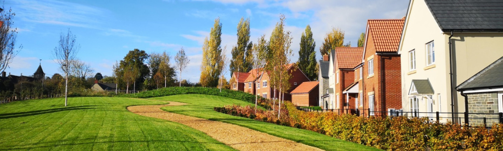 A collection of homes in a new build development alongside a field, trees and shubbery.