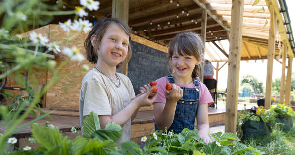 Two children holding strawberries in a community garden