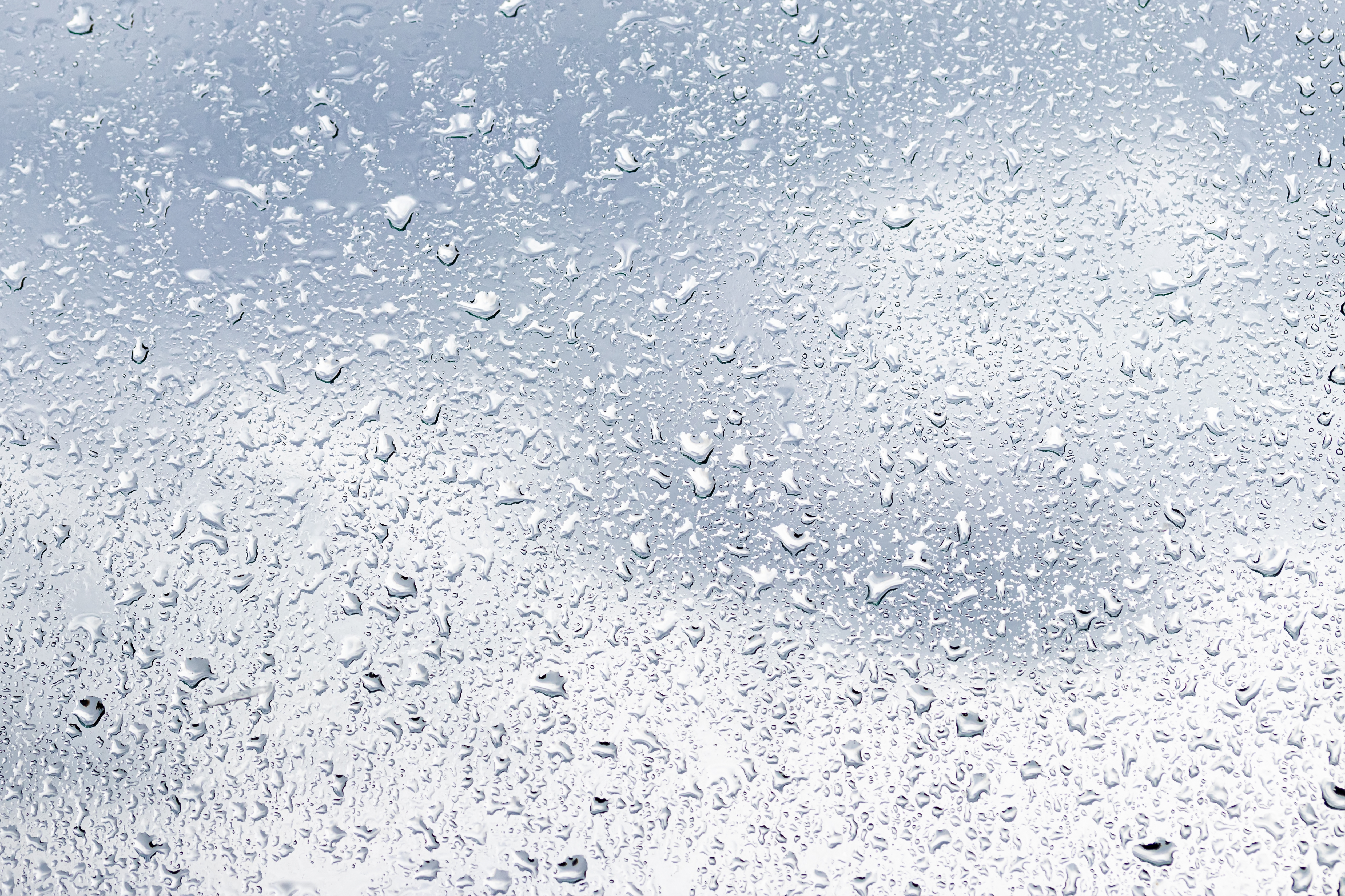 condensation on window