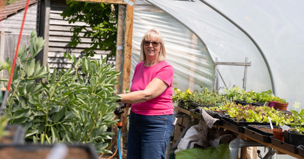 Lady Watering Plants In A Poly Tunnel Being Green And Sustainable