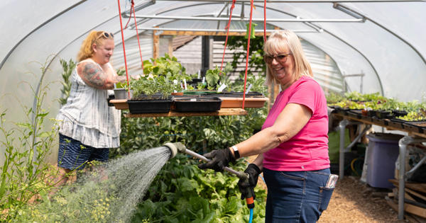 Alliance Homes Community Gardens Coleridge Road